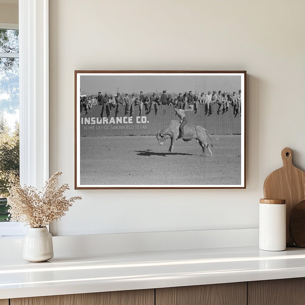 Rodeo Performer on Brahma Bull San Angelo Texas 1940