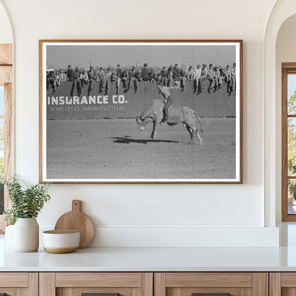 Rodeo Performer on Brahma Bull San Angelo Texas 1940