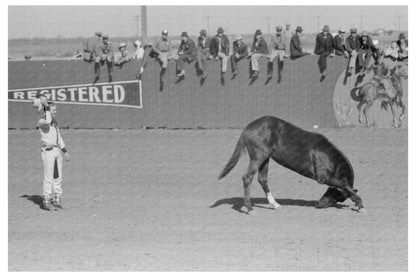 High School Rodeo Horse and Trainer San Angelo 1940