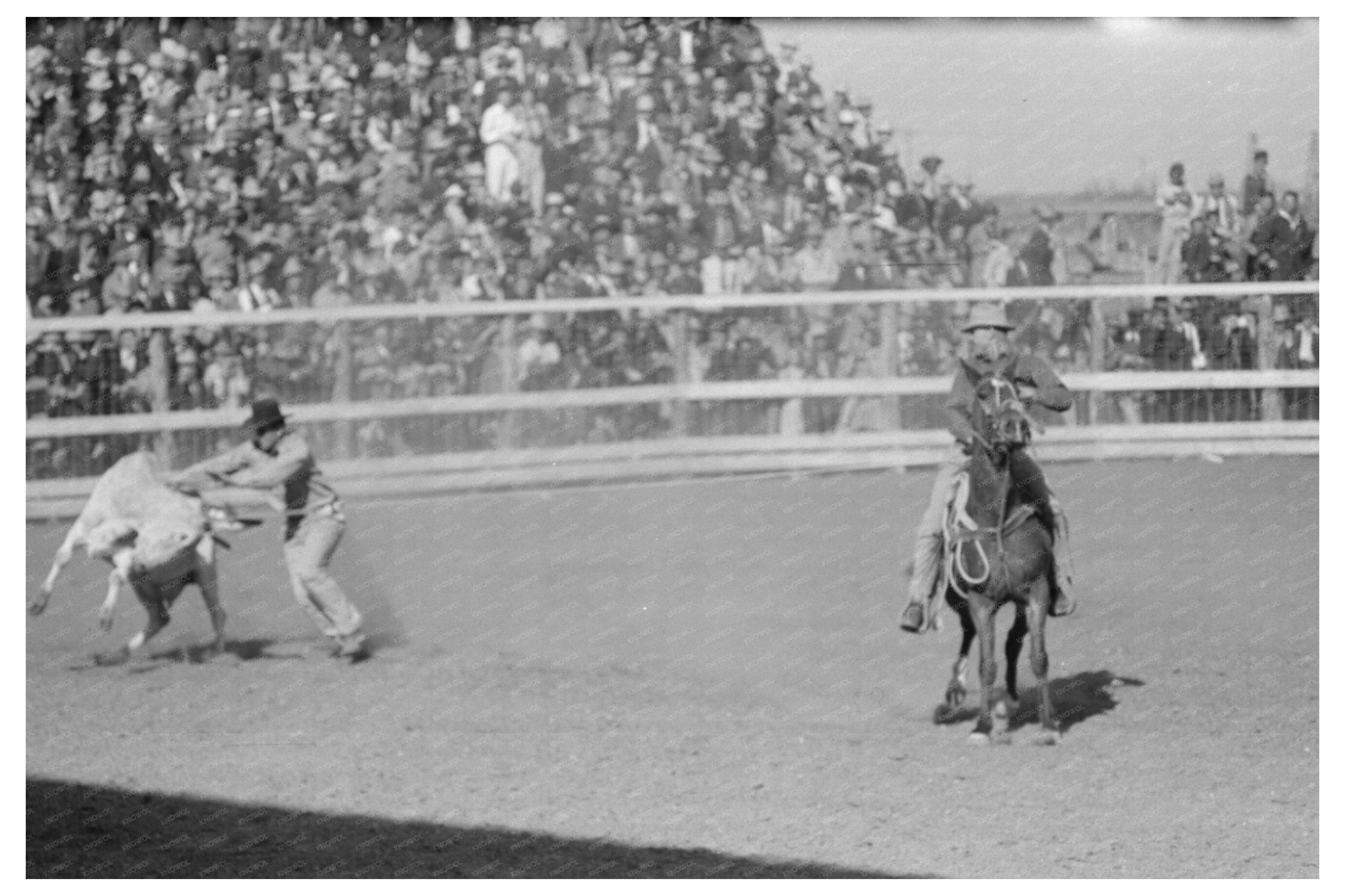 San Angelo Fat Stock Show Rodeo Scene March 1940