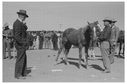 West Texan Shows Horse at San Angelo Stock Show 1940