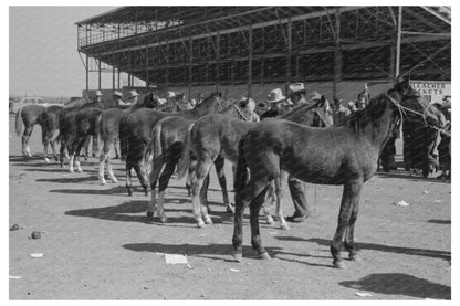 West Texan Horse Show at San Angelo Stock Show 1940