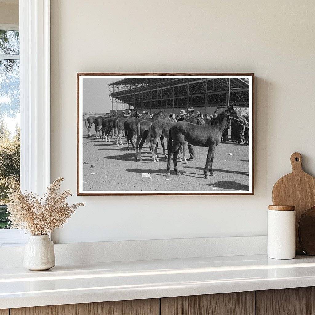 West Texan Horse Show at San Angelo Stock Show 1940