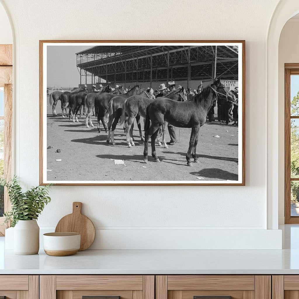 West Texan Horse Show at San Angelo Stock Show 1940