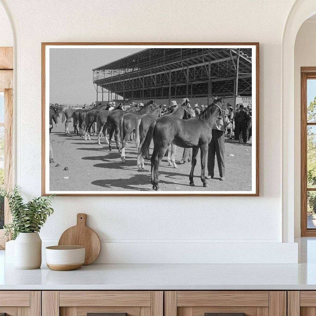 Horses Judged at San Angelo Fat Stock Show 1940