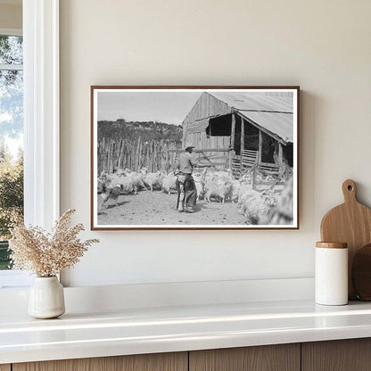 Herding Goats in Kimble County Texas March 1940