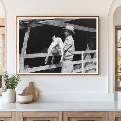 Herding Goats into Shearing Pen Kimble County Texas 1940