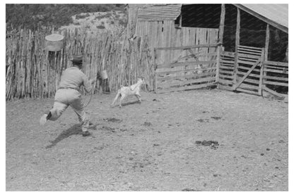 Farm Security Administration Supervisor Roping Goat 1940