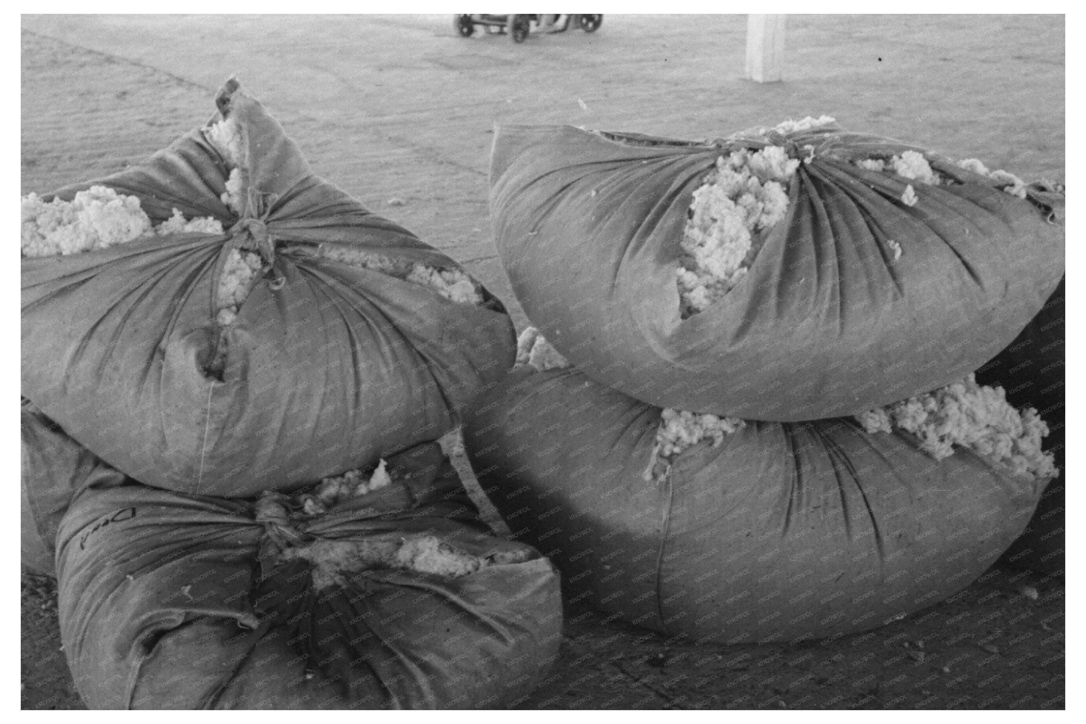 Wool Processing at San Marcos Texas Plant March 1940