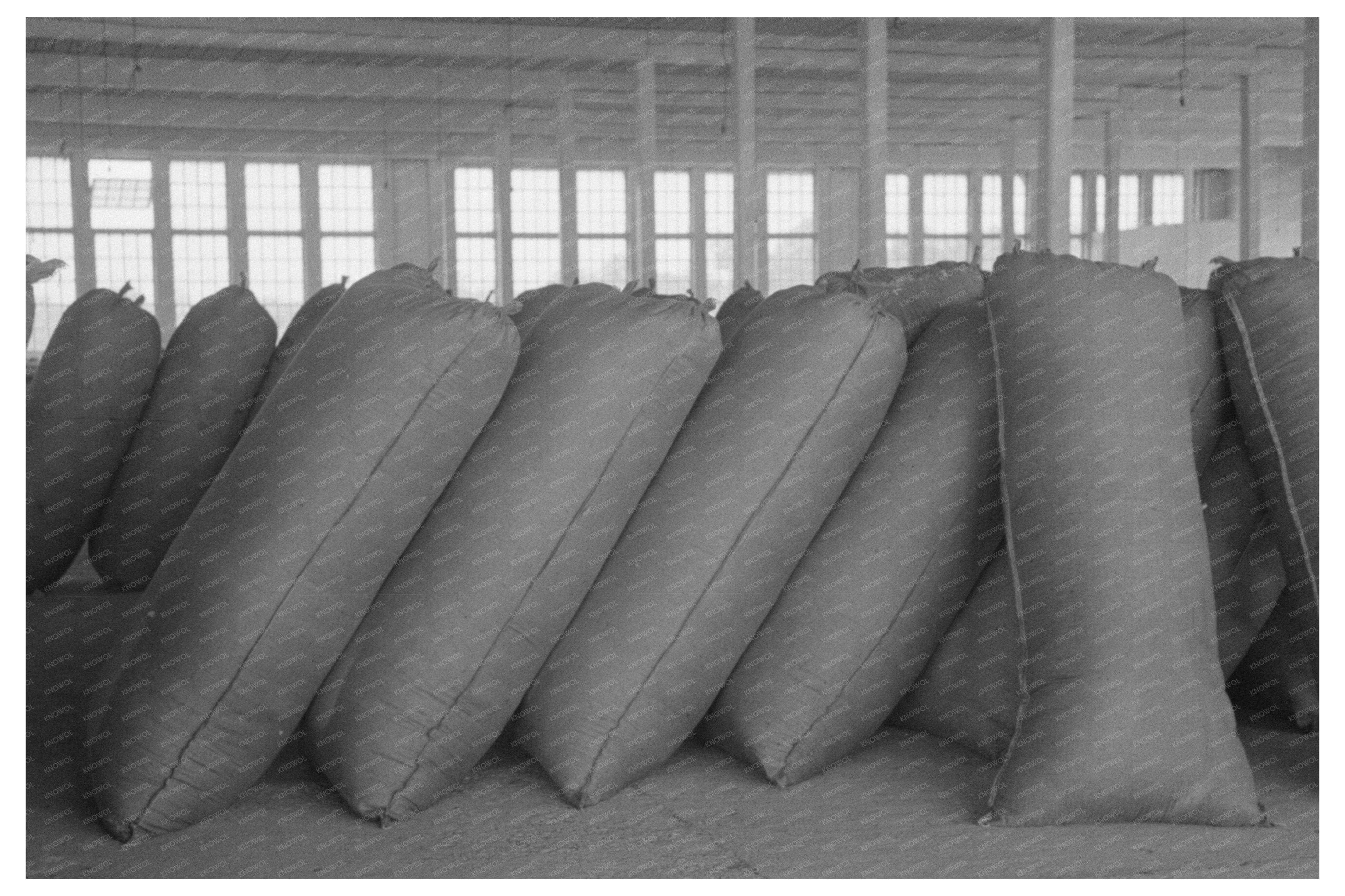 Wool Storage at Scouring Plant San Marcos Texas March 1940