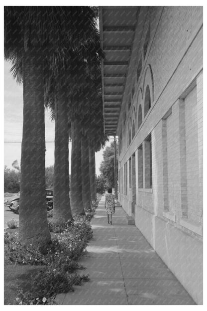 Palm-lined Sidewalk in Tempe Arizona May 1940