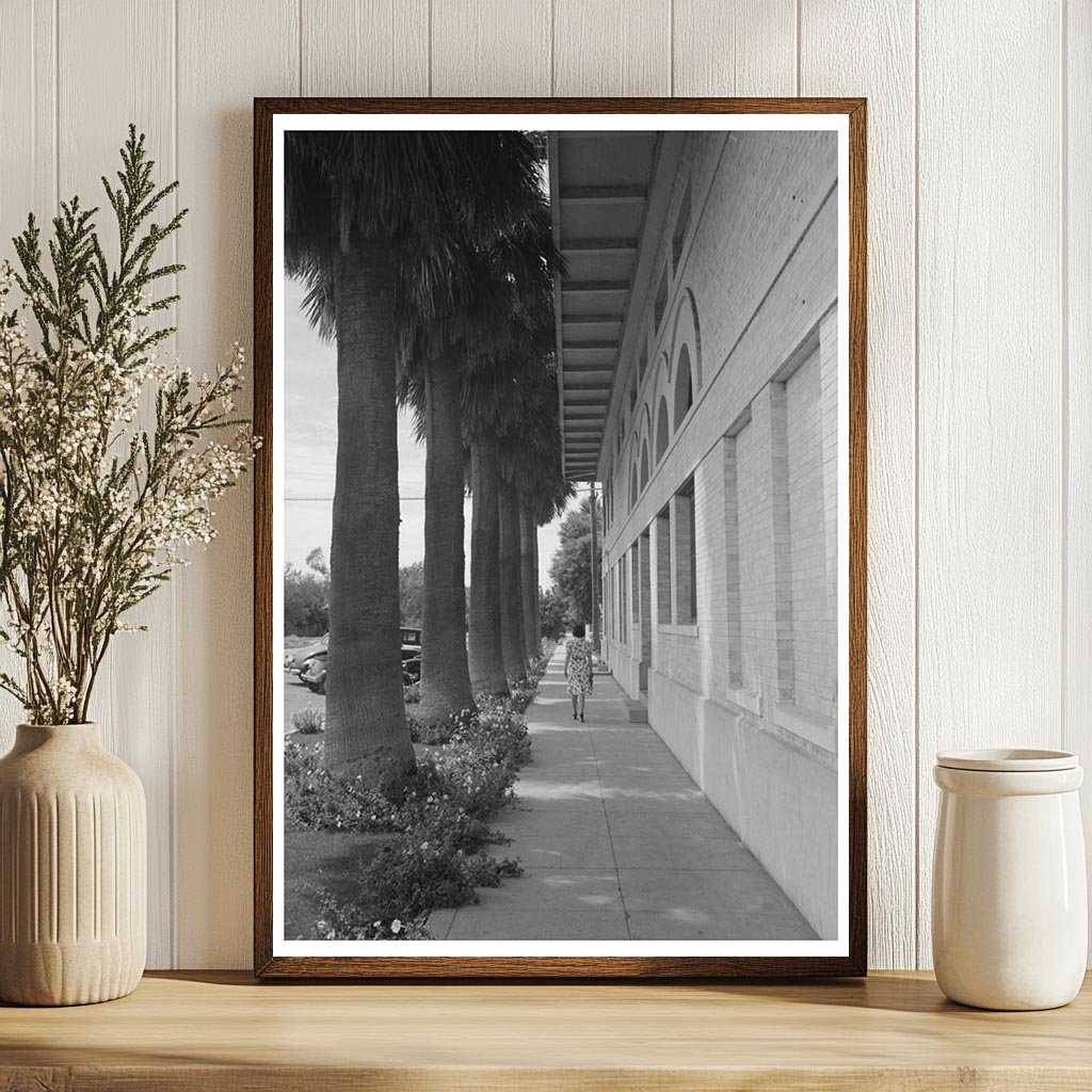 Palm-lined Sidewalk in Tempe Arizona May 1940