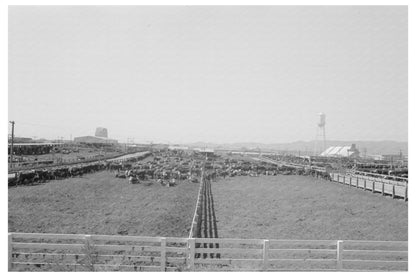 Meatpacking Plant in Phoenix Arizona April 1940