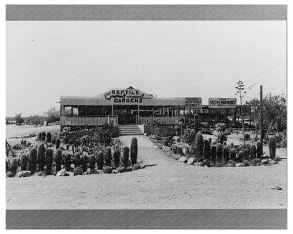 Vintage Roadside Sign for Tourist Court Phoenix 1940