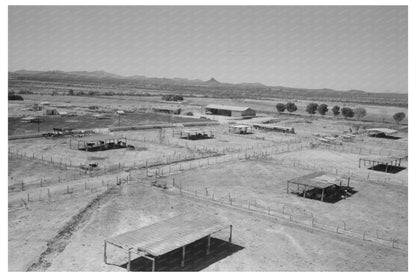 Dairy Cattle Shelters Casa Grande Valley Farms 1940