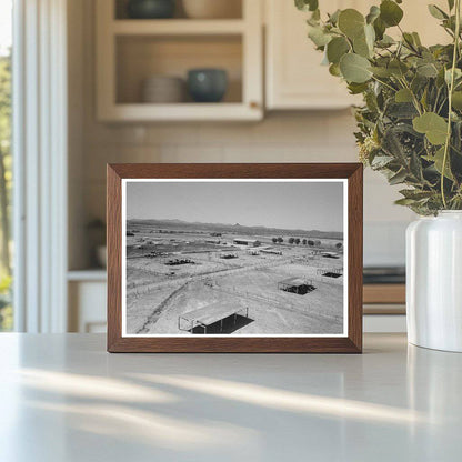 Dairy Cattle Shelters Casa Grande Valley Farms 1940