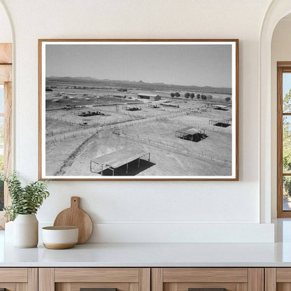 Dairy Cattle Shelters Casa Grande Valley Farms 1940