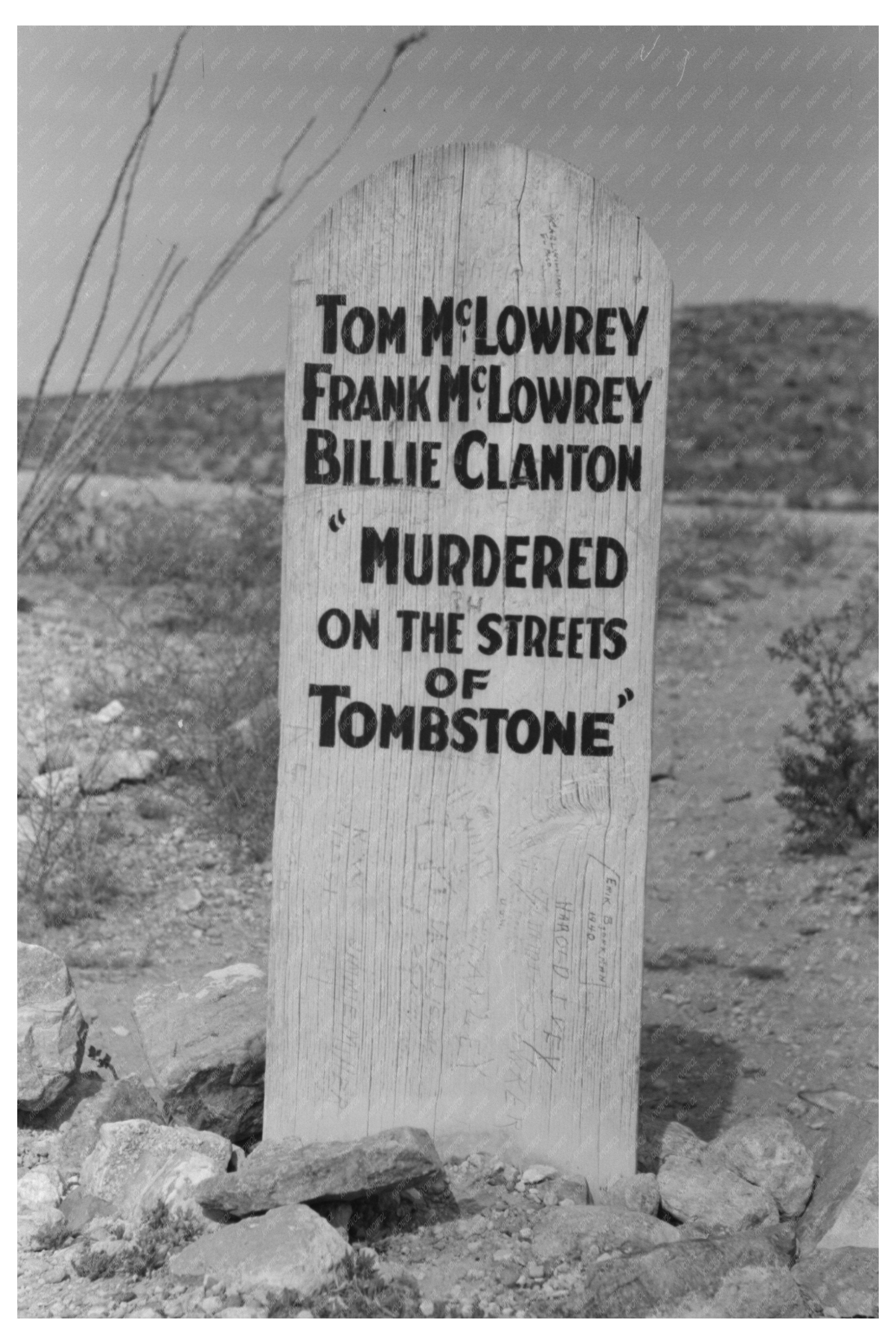 Cochise County Landscape April 1940 Vintage Photograph