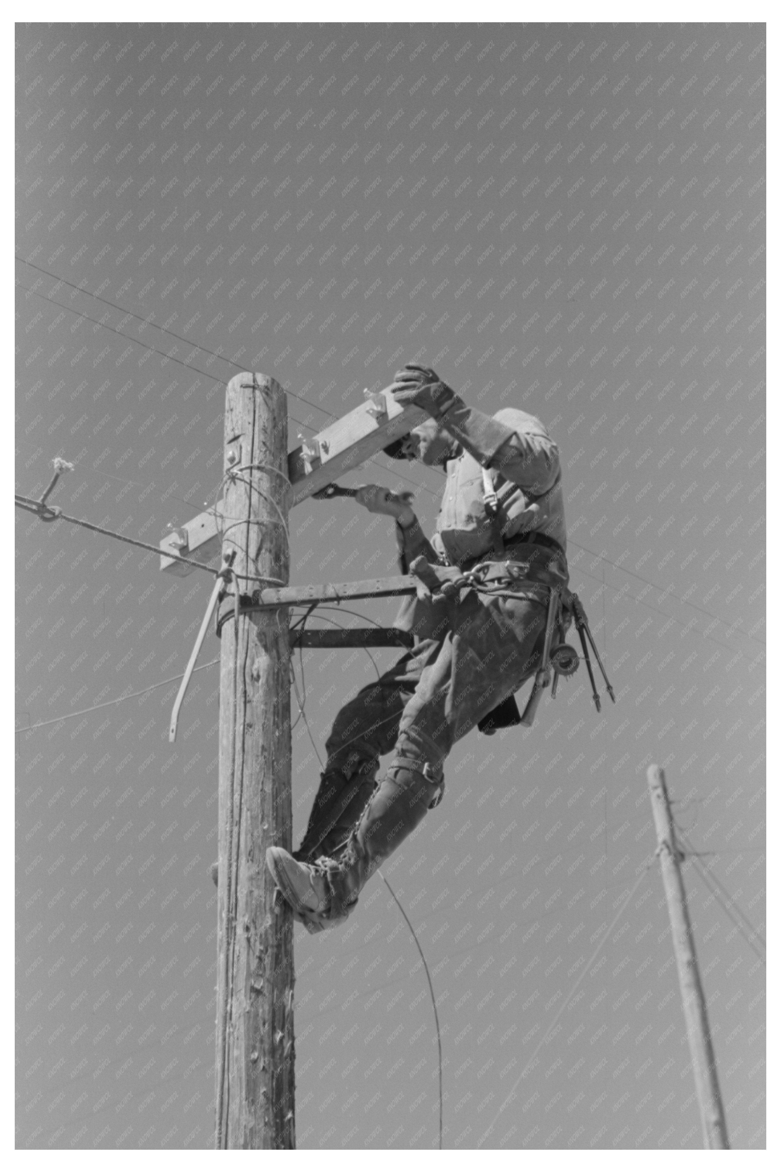 Lineman at Telephone Pole Casa Grande Valley Farms 1940