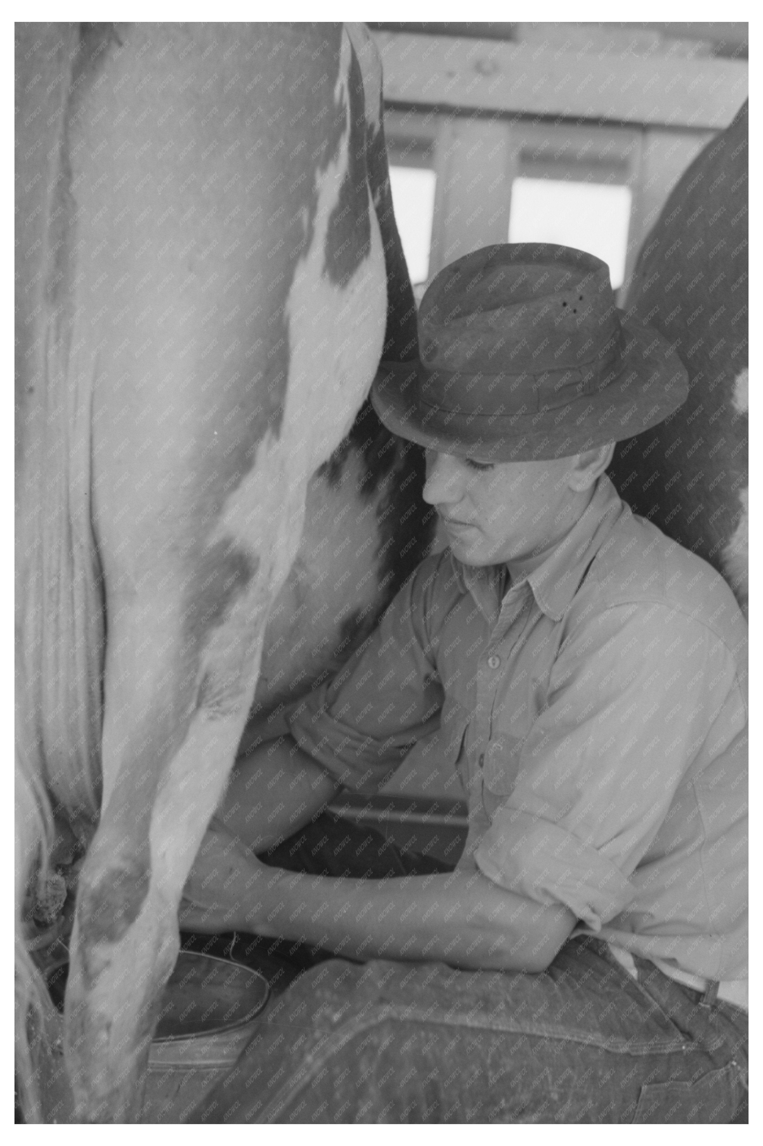 Milking Process at Casa Grande Valley Farms 1940