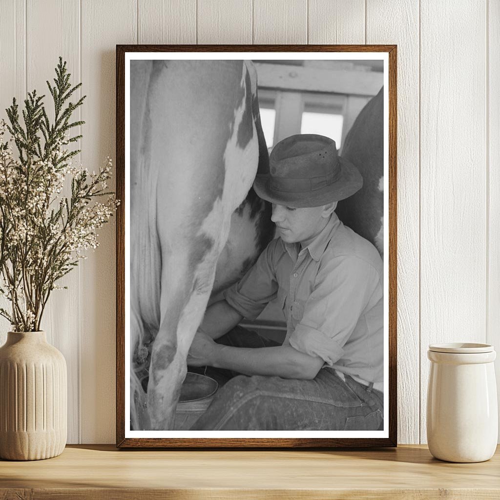 Milking Process at Casa Grande Valley Farms 1940