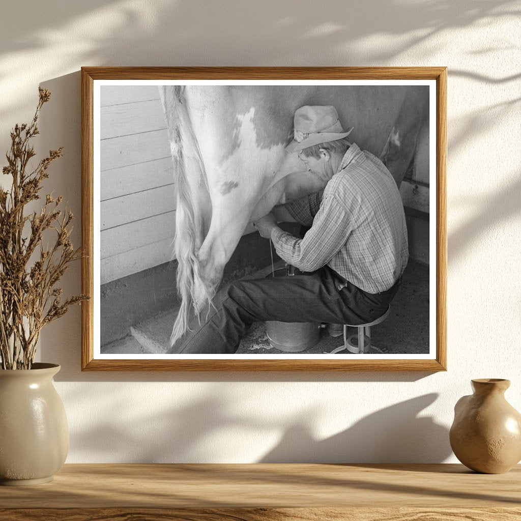 Milking Time at Casa Grande Valley Farms Arizona 1940
