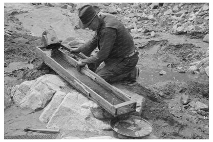 Prospector Using Sluice Box for Gold Mining 1940