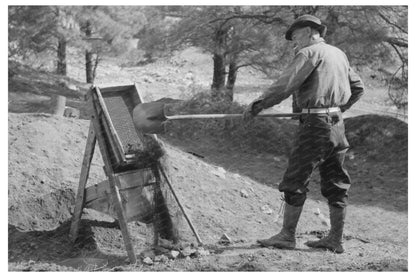 Prospector Shoveling Gold Dirt Pinos Altos 1940