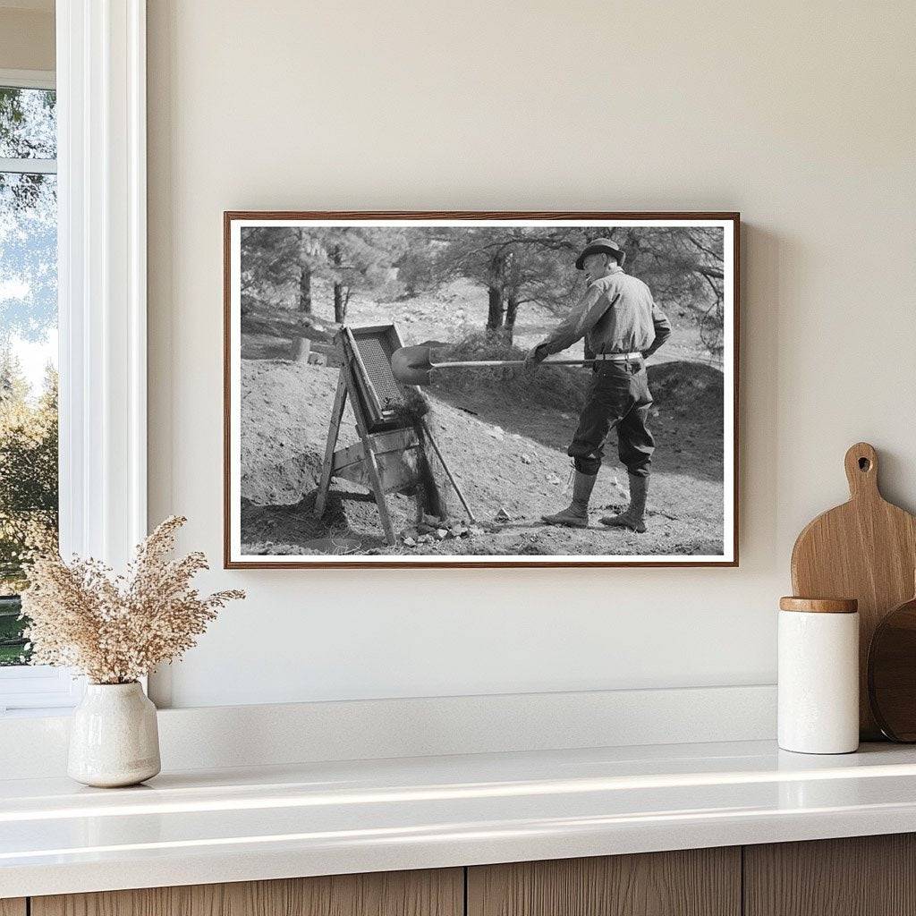 Prospector Shoveling Gold Dirt Pinos Altos 1940