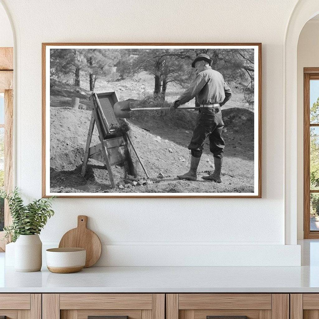 Prospector Shoveling Gold Dirt Pinos Altos 1940