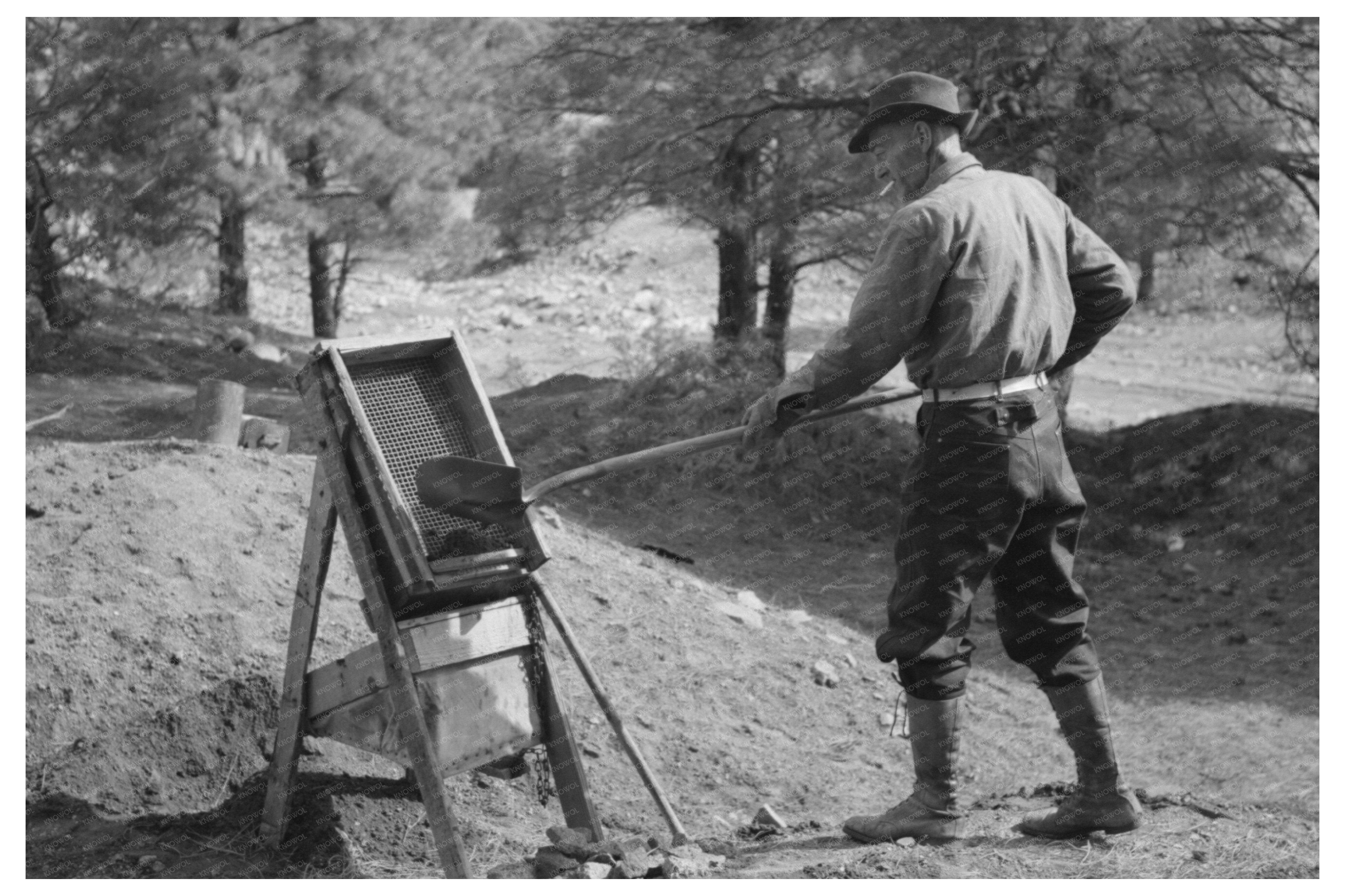 Prospector Shoveling Gold-Bearing Dirt Pinos Altos 1940