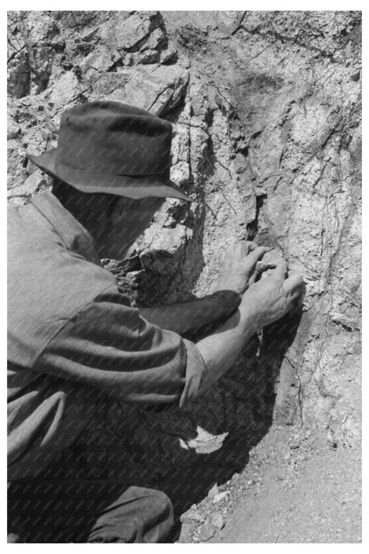 Prospector Sampling Dirt for Gold in Pinos Altos 1940