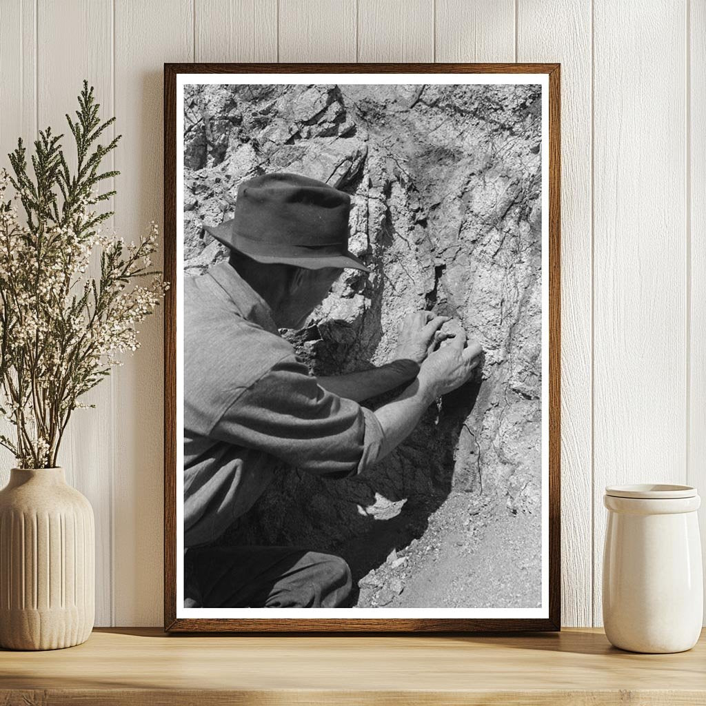 Prospector Sampling Dirt for Gold in Pinos Altos 1940