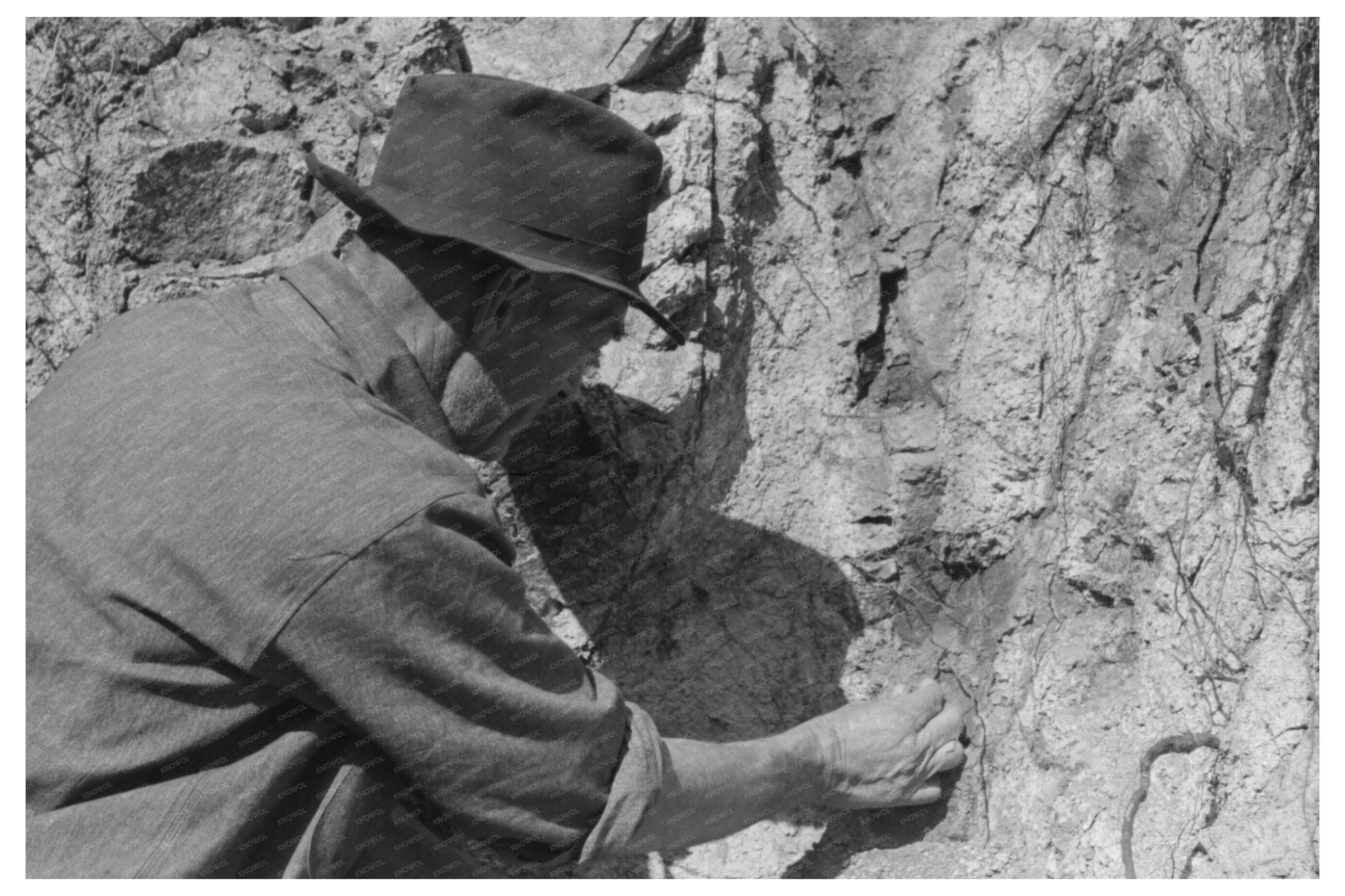 Pinos Altos New Mexico Gold Prospecting Soil 1940