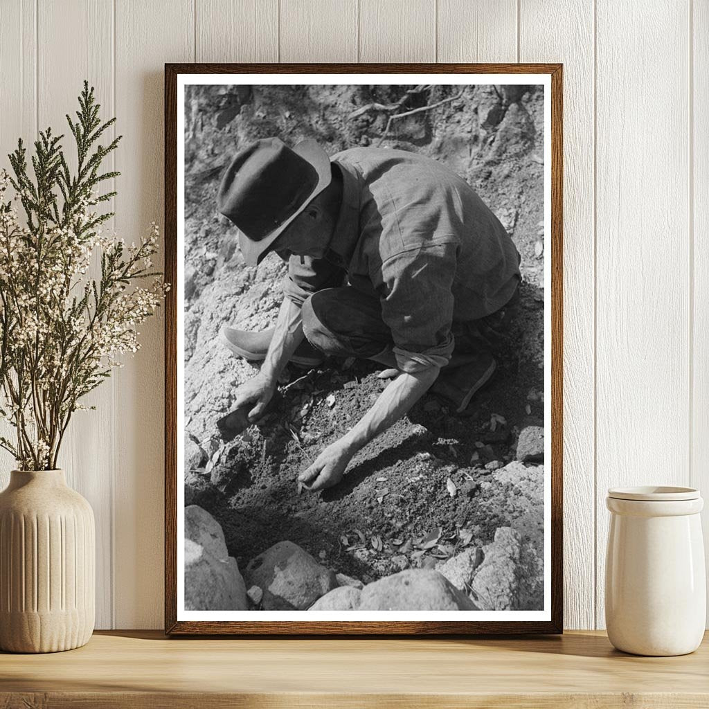 Prospector Sampling Dirt in Pinos Altos New Mexico 1940