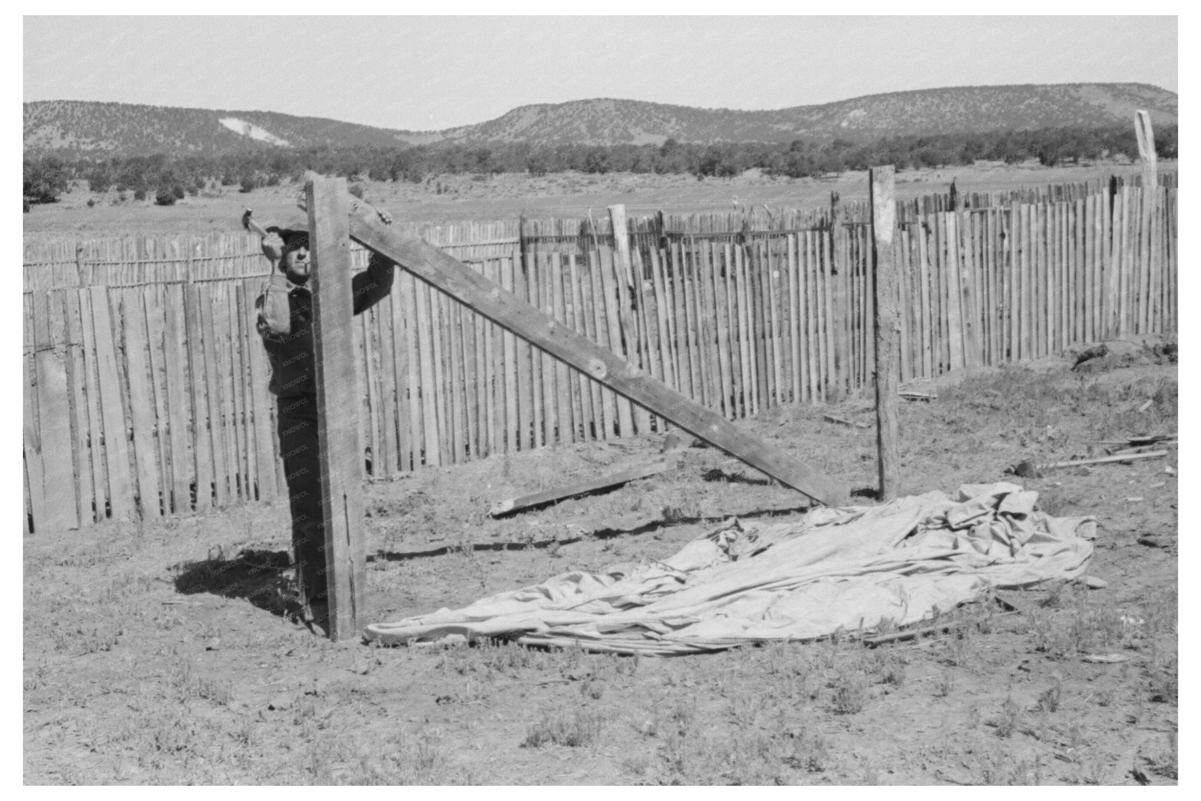 Faro Caudill Erecting Tent Support in Pie Town 1940