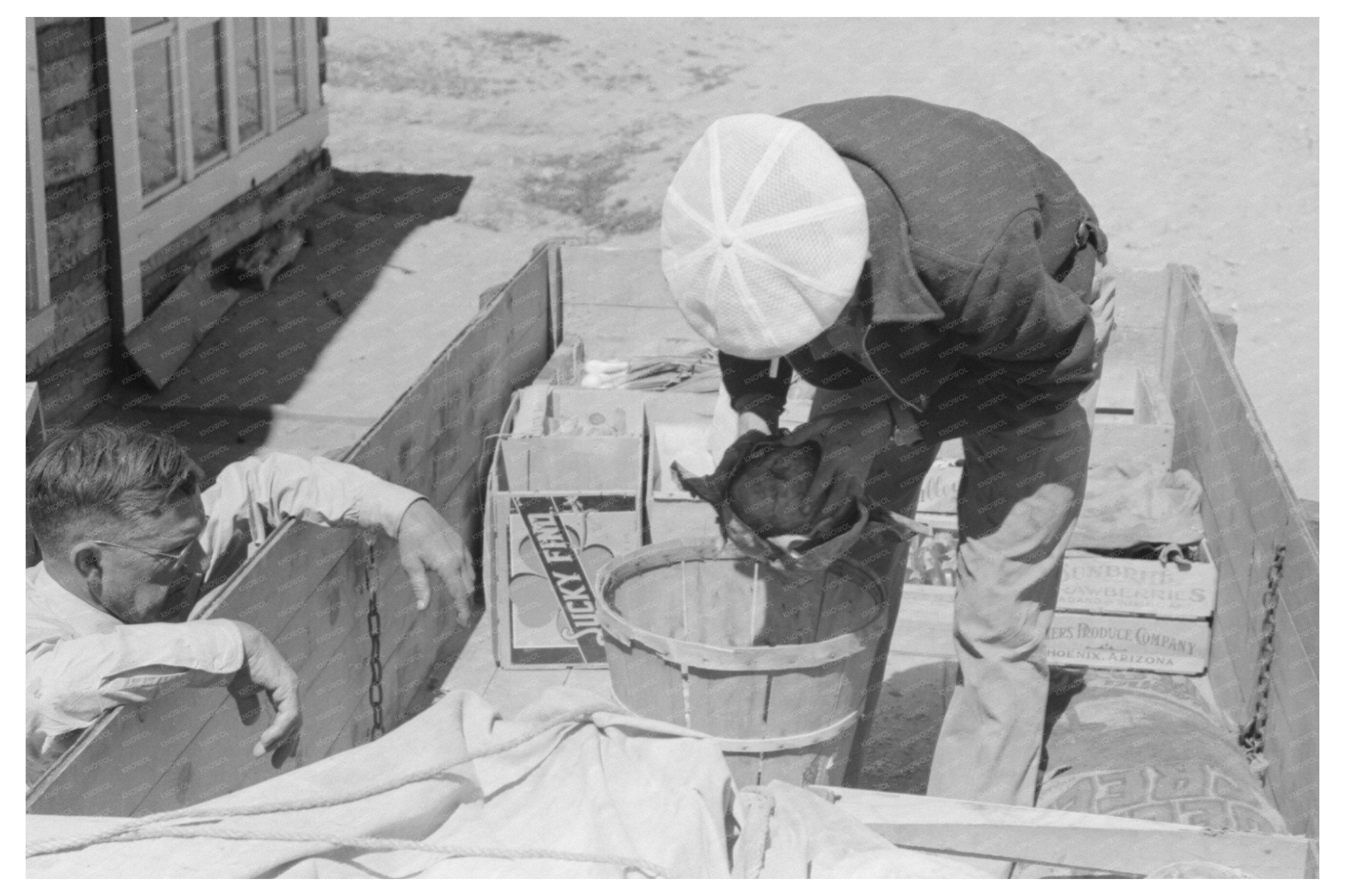 Fruit and Vegetable Examination in Pie Town New Mexico 1940