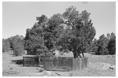 Graves in Mountain Cemetery Pie Town New Mexico 1940