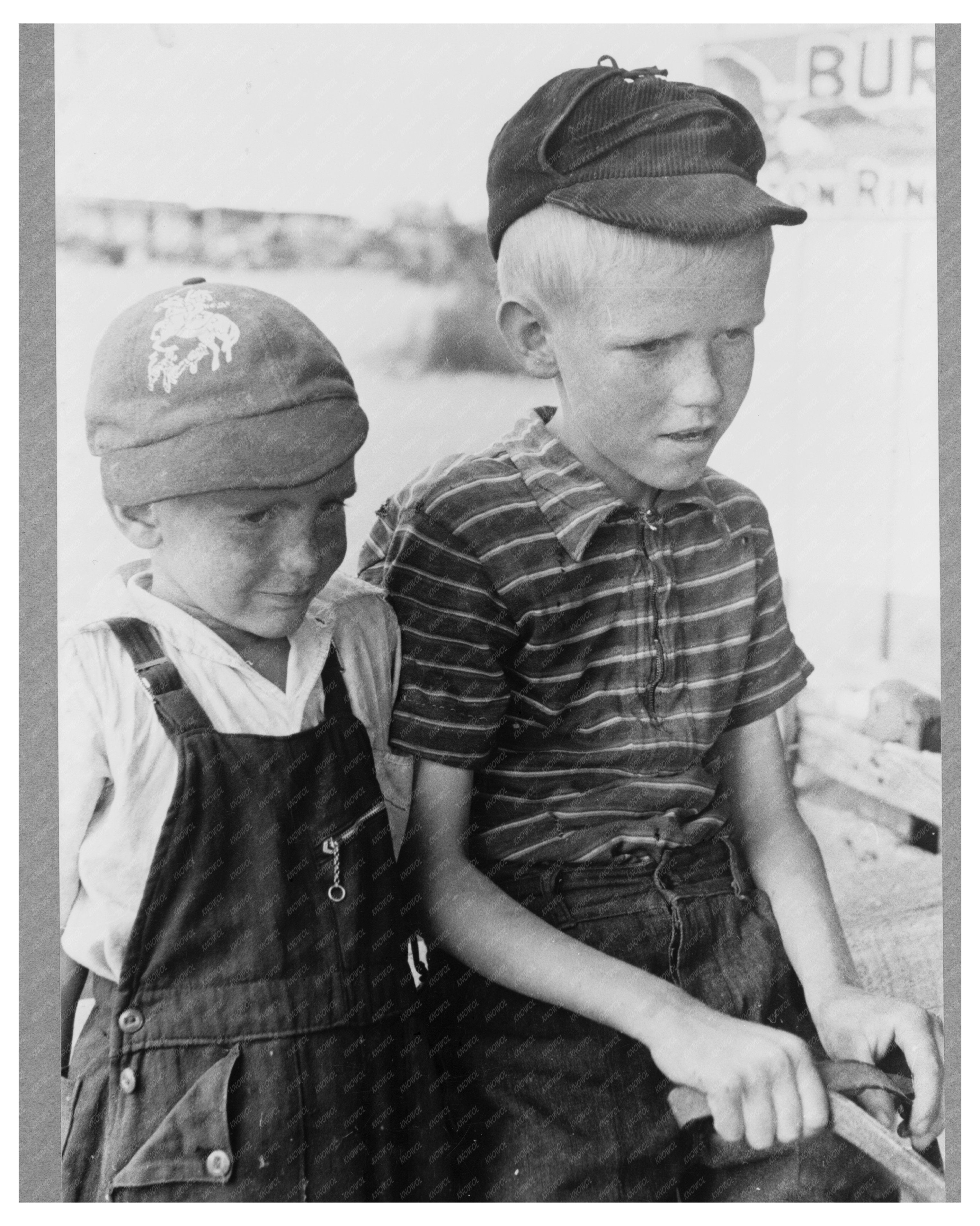 Children in Burro Cart Pie Town New Mexico 1940