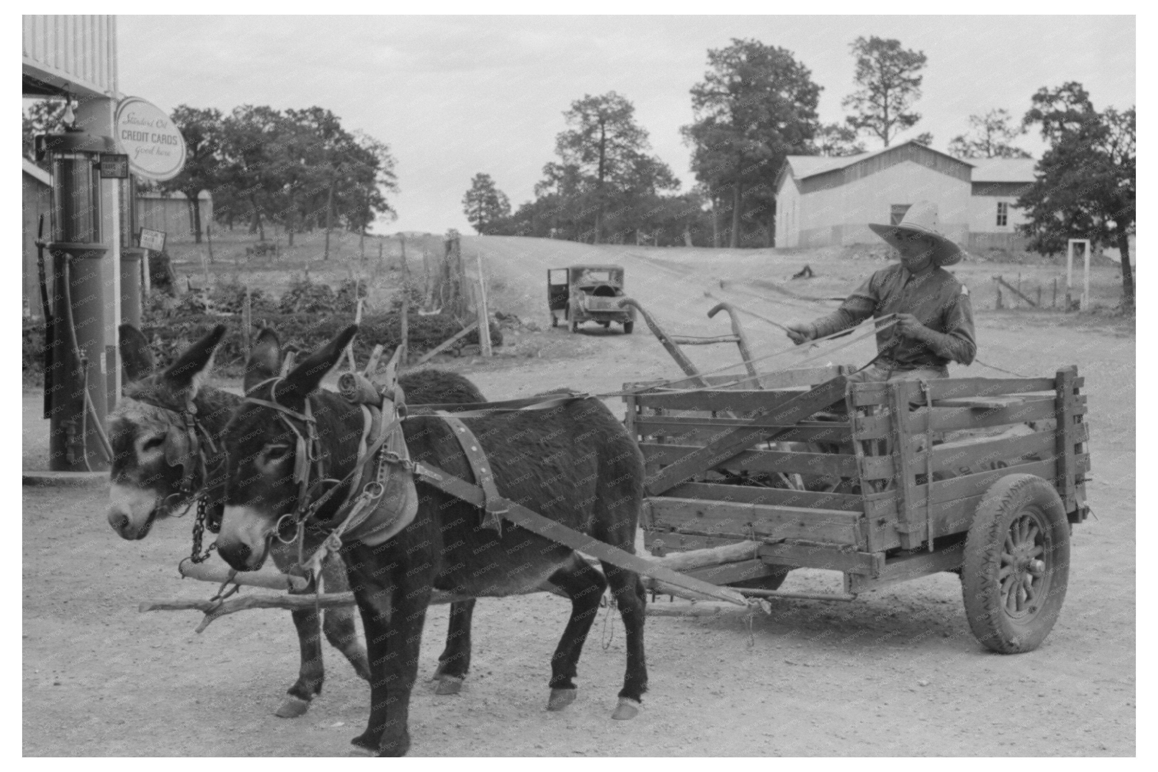 Mr. Leatherman with Burro Cart in Pie Town 1940