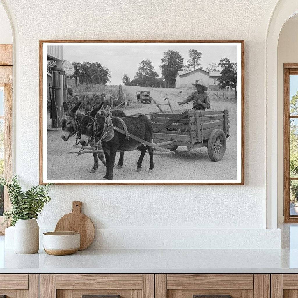 Mr. Leatherman with Burro Cart in Pie Town 1940