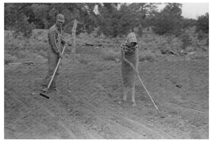 Jack Whinery and Daughter Covering Beans in Pie Town 1940