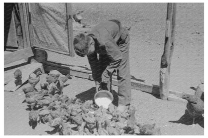 Young Hutton Feeds Chickens in Pie Town New Mexico 1940