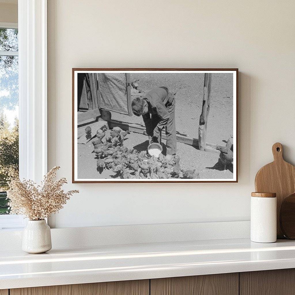 Young Hutton Feeds Chickens in Pie Town New Mexico 1940