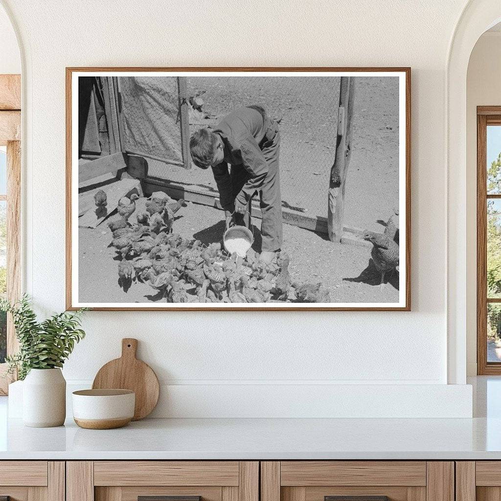 Young Hutton Feeds Chickens in Pie Town New Mexico 1940