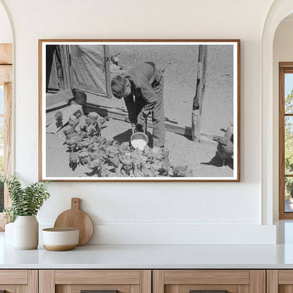 Young Hutton Feeds Chickens in Pie Town New Mexico 1940