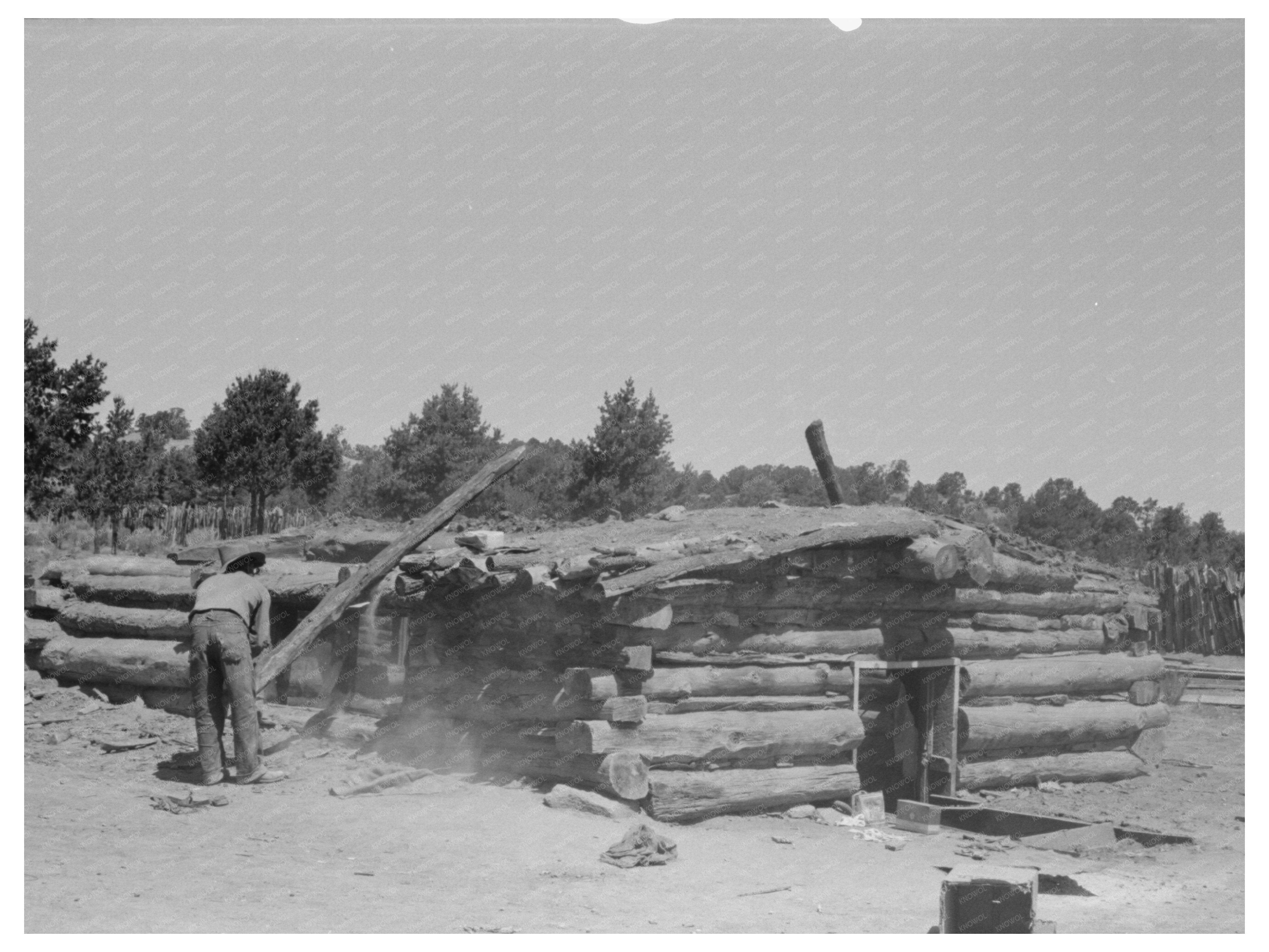 John Adams Stacking Pinon Poles Pie Town New Mexico 1940