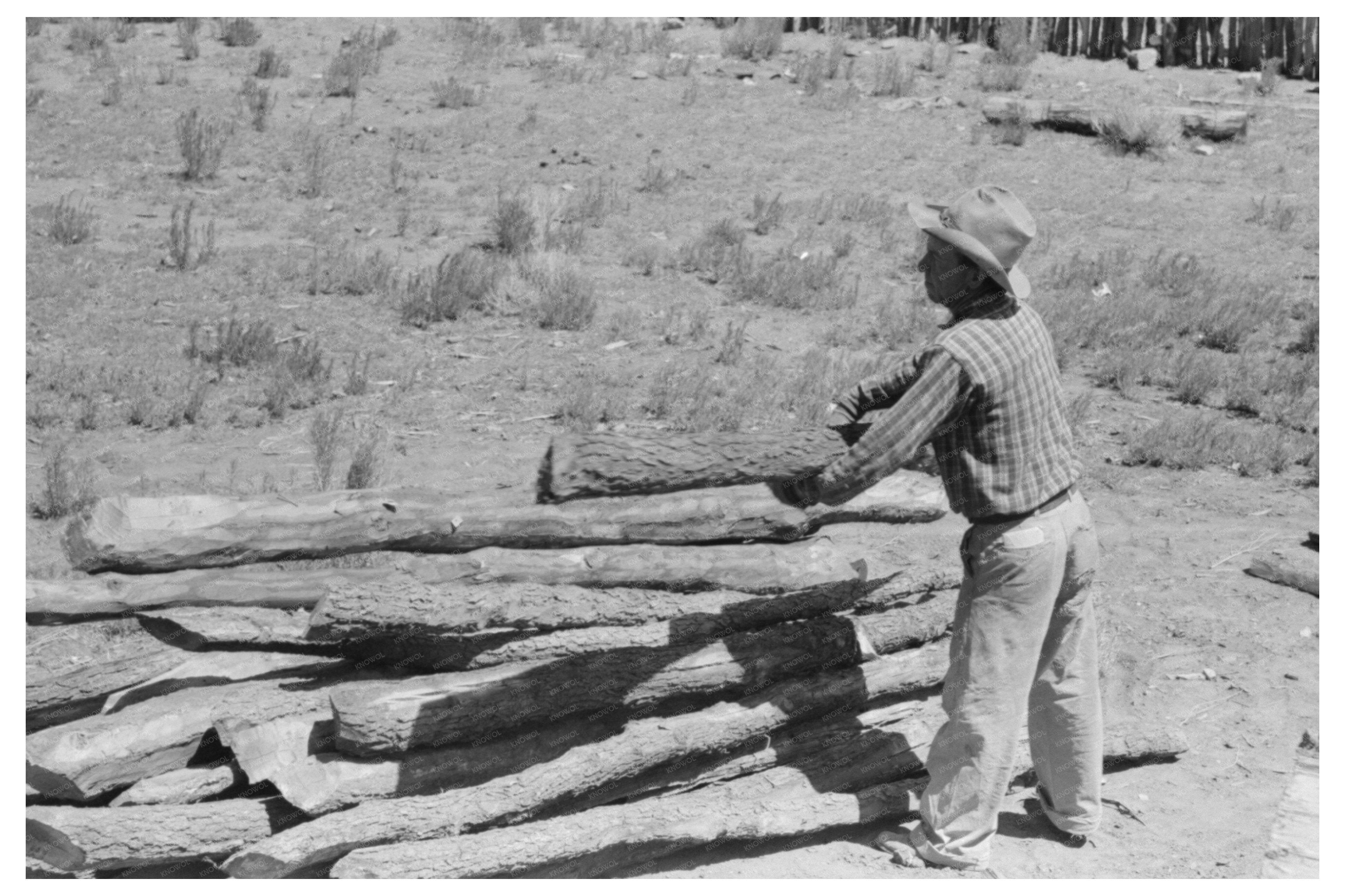 John Adams Stacks Pinon Poles in Pie Town New Mexico 1940