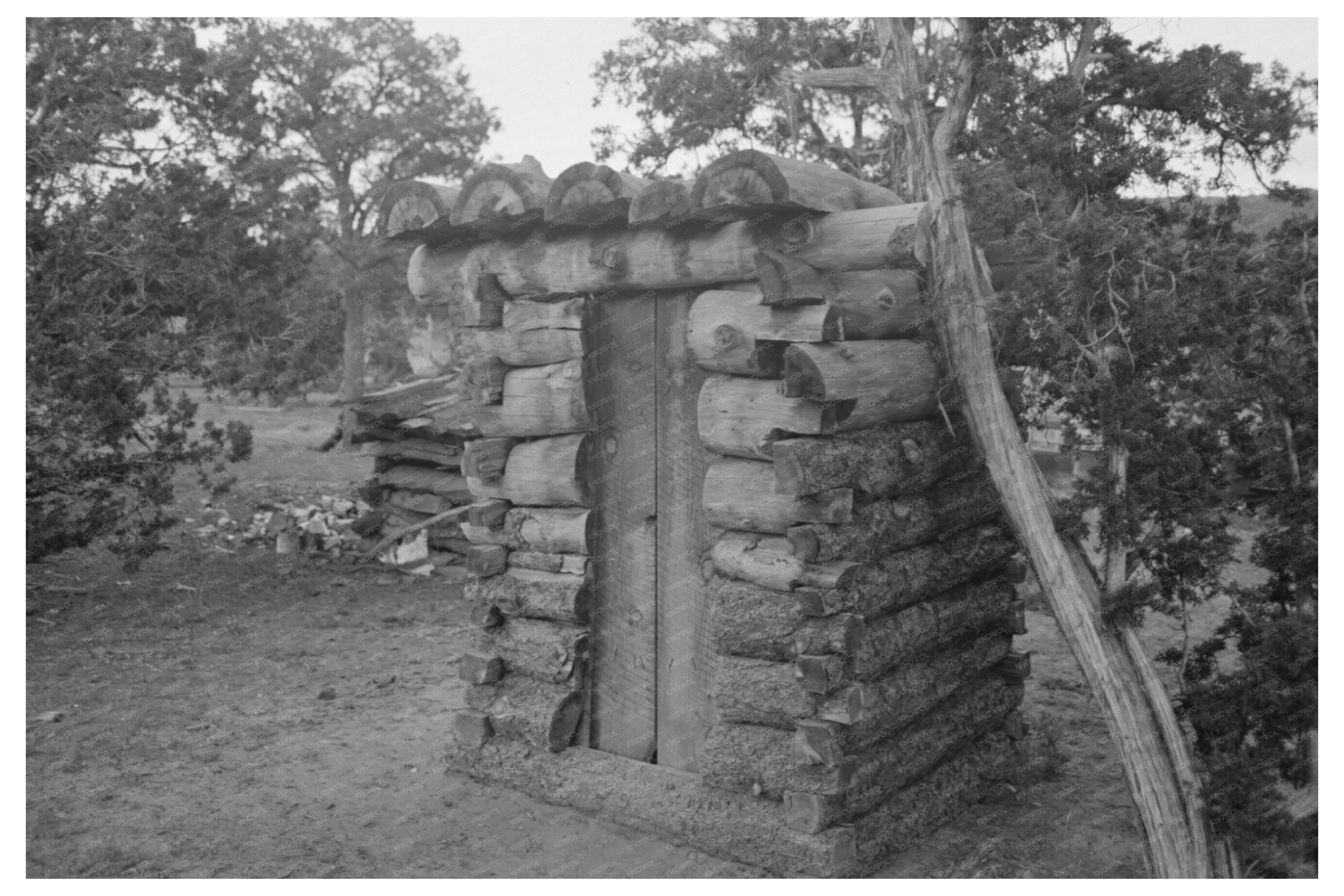 Log Privy on Homesteader Farm in Pie Town New Mexico 1940