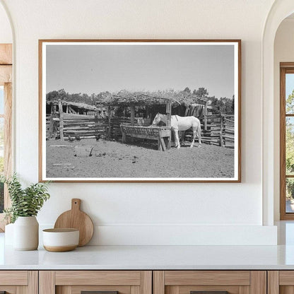 Horse Lot on Homesteaders Farm Pie Town New Mexico 1940